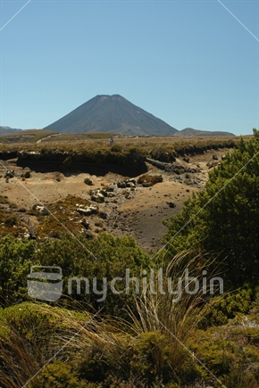 hiker in Tongariro NP with Mount Ngauruhoe in the background, North Islandboardwalk in Tongariro NP, North Island