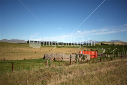Paddock with hay bale enclosure in the Marlborough region, South Island