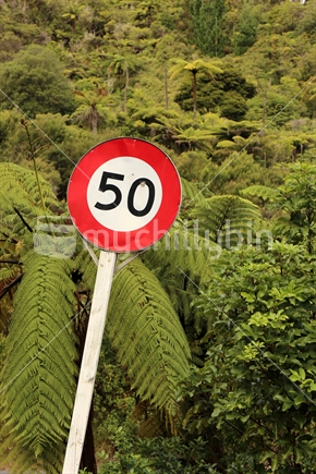 50 sign covered in tree ferns