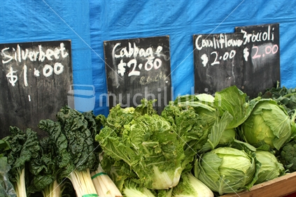 Silverbeet, cabbage, cauliflower, broccoli