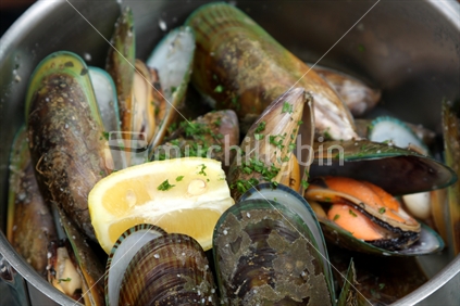 A pot of green lipped mussels