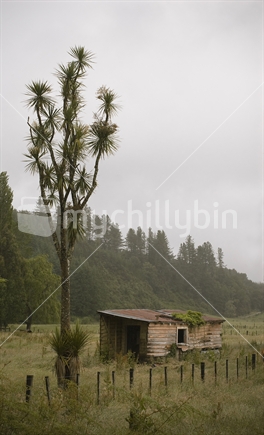 Derelict hut on a wet day