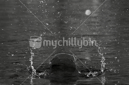 A skipping stone splashing on the water at Outram Glen, Dunedin