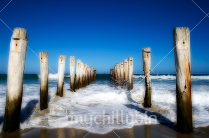 The old poles at the St Clair Beach, Dunedin