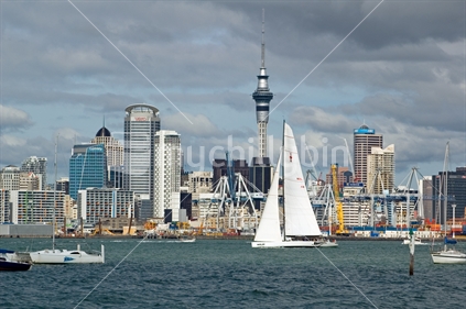 Auckland from Devonport