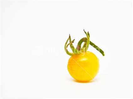Heirloom Yellow Cherry Tomato