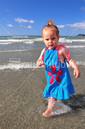 Girl playing in water, and the beach in New Zealand. 
