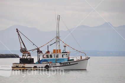 Tequila fishing boat at port nelson