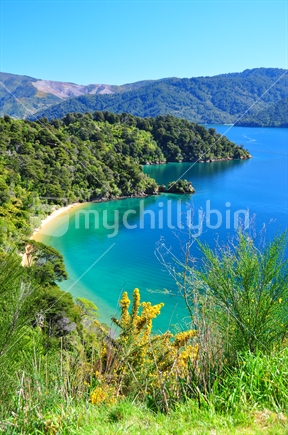 Governors Bay which is a picturesque beach in the Grove Arm near Picton, New Zealand