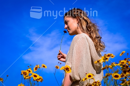 Young woman in field of wild flowers in empty plot in Christchurch.  Rotary planted empty sites in Christchurch with wild flowers as part of Colour me Christchruch project to help brighten the Earthquake stricken city