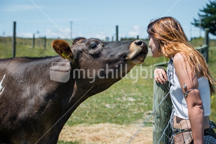 Young woman interacting with Cow at Farm Park in Tasman district