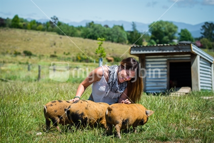 Beautiful young woman interacting piglets at animal  farm in Tasman