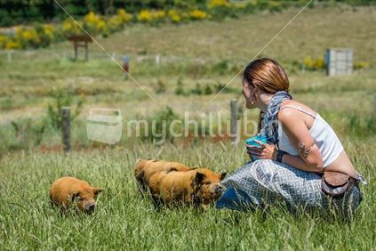 Beautiful young woman interacting piglets at animal farm in Tasman