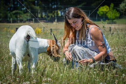 Young woman goat  in Tasman District 