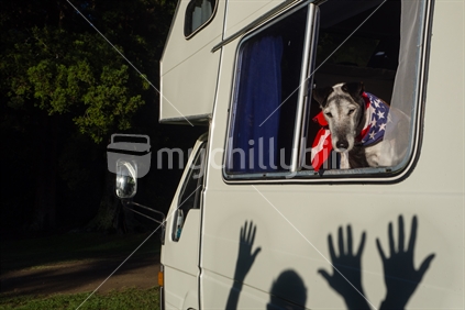 Fox Terrier with shadows on van