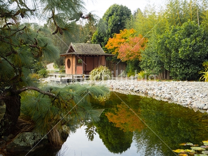 Miyazu Garden in Autumn