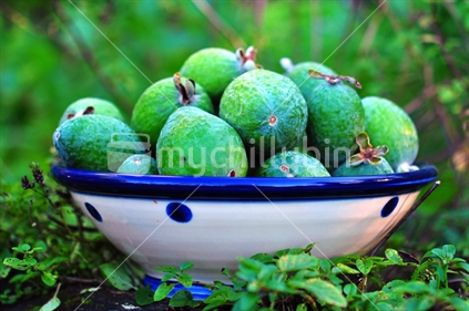 Feijoas in a fruit bowl