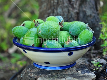 Feijoas in a fruit bowl