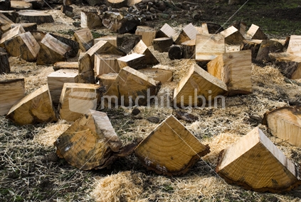 Split timber