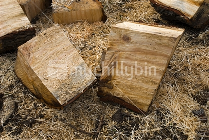 Split timber