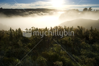 Morning sun breaking through mist over bush valley