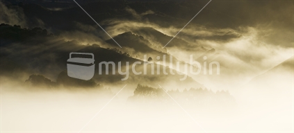 Misty sunrise over Tokomaru Valley, North Island, New Zealand