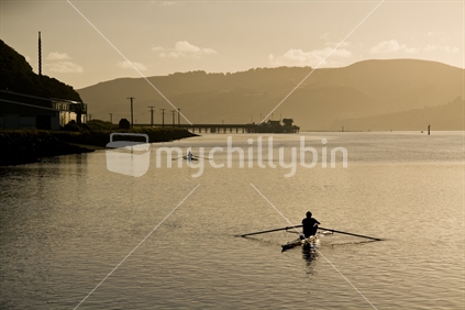 Early morning rowers - Otago Harbour