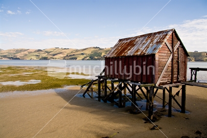 Boat house on Otago harbour at low tide