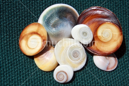 Shells
