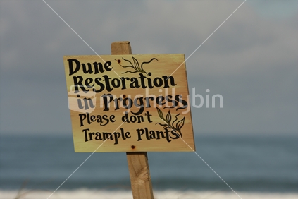Dune Restoration sign at Piha Beach, New Zealand