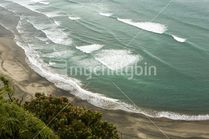 Rugged Waitakere coastline near Piha Beach