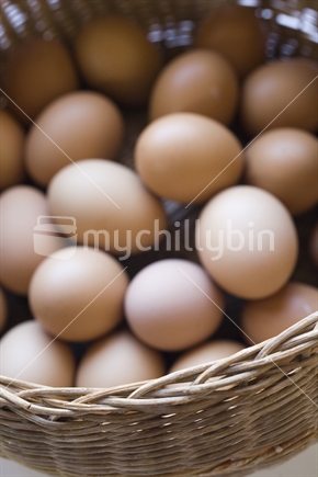A basket of fresh eggs
