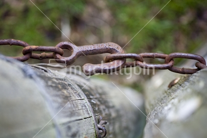 A rusty hook and chain on a old fence