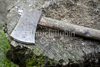 A wood axe resting on a chopping stump