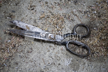 An old pair of sewing scissors on a workshop floor