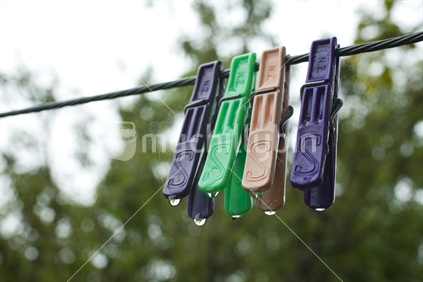 Four wet pegs hang on a washing line