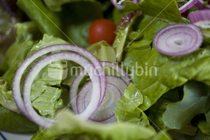 Salad vegetables