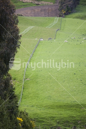 A fence line through farm paddocks