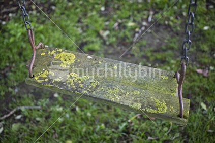 An old moss covered swing