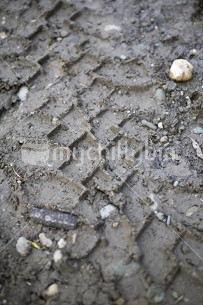 Tyre imprints in muddy ground