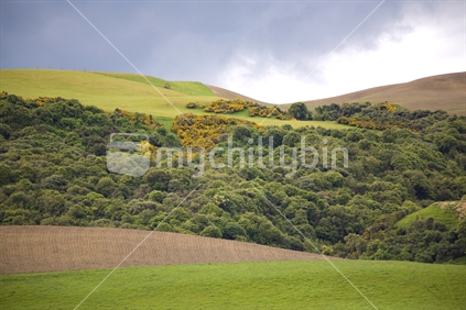 brown, browns, bush, clouds, colour, contrast, contrasting, country, different, farm, farmland, grass, green, greens, hills, landscape, matagouri, paddocks, plow, rural, southland, stages, tended, untended, 