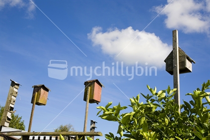 Garden birdhouses