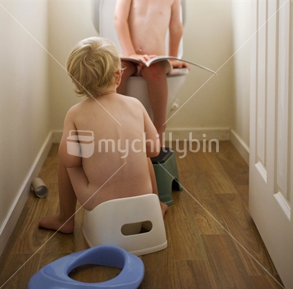 Two young boys in toilet training
