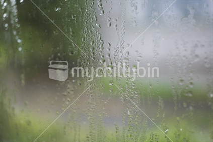 Condensation on the inside of a window on a rainy day