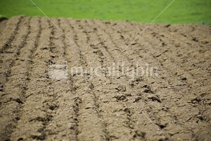 Freshly ploughed rows of soil in a paddock