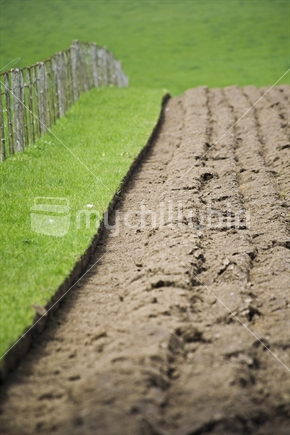 Freshly ploughed rows of soil in a paddock along a fence line