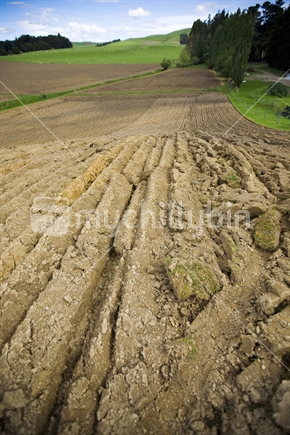 Freshly plowed farmland in Southland, New Zealand