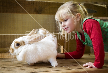 A young blonde girl playing with a large pet rabbit