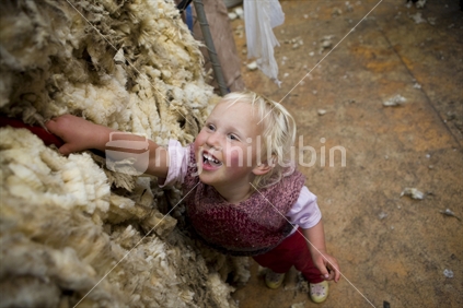 A young blonde girl helping with shearing on the family farm