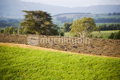 A strip of ploughed paddock in a farm bathed in afternoon light